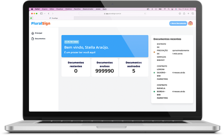 Imagem do sitema em um laptop